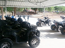 龙口乐园娱乐设备