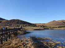 无边落木萧萧下