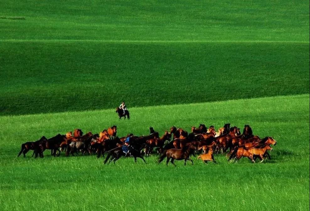 乌兰布统草原 乌兰布统草原
