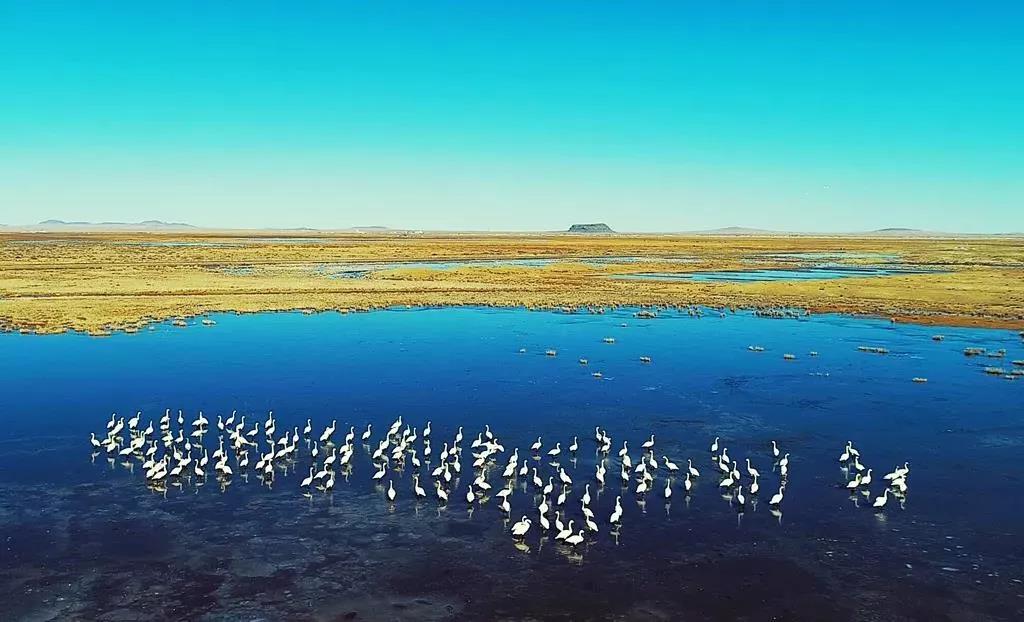 乌兰布统草原 乌兰布统草原